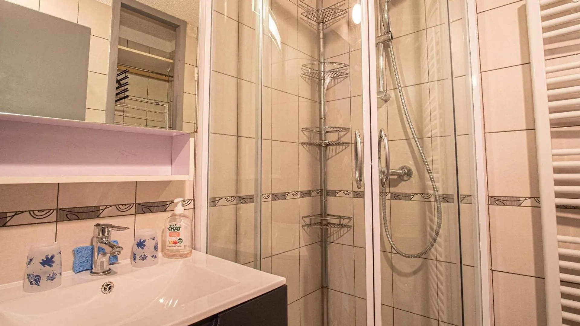 Valmorel - Appartement 2 Pieces Avec Balcon, Acces Pistes Et Animaux Admis - Fr-1-356-494 France